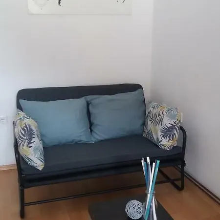 公寓 Rose Valley Apt. + Free Bikes 卢布尔雅那